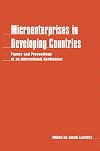 Microenterprises In Developing Countries