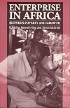 Enterprise in Africa : between poverty and growth