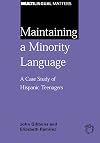 Maintaining a Minority Language: A Case Study of Hispanic Teenagers (Multilingual Matters)