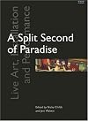 A Split Second of Paradise: Live Art, Installation and Performance