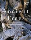 Ancient Trees: Trees That Live for 1,000 Years