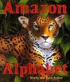 Amazon Alphabet