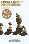 Excelling at Positional Chess (Everyman Chess)