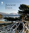 Ancient Trees of the National Trust