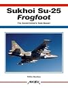 Sukhoi Su-25 Frogfoot: The Soviet Union's Tank-Buster (Aerofax)