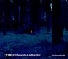 Twilight: Photography in the Magic Hour