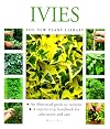 Ivies