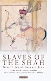 Slaves of the Shah: New Elites of Safavid Iran