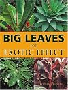 Big Leaves for Exotic Effect