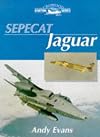 Sepecat Jaguar (Crowood Aviation)