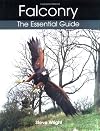 Falconry: The Essential Guide