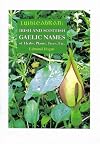 Irish and Scottish Gaelic Names of Herbs, Plants, Trees, Etc: Luibhleabhran