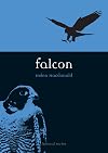 Falcon