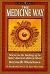 The Medicine Way: A Shamanic Path to Self Mastery (The "Earth Quest" Series)