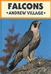 Falcons (British Natural History Series)