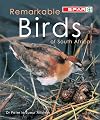 Remarkable Birds of South Africa