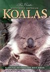 DISCOVERING AUSTRALIAN KOALAS