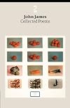 Collected Poems (Salt Modern Poets)