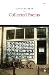 Collected Poems (Salt Modern Poets)