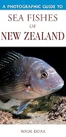 A Photographic Guide to Sea Fishes of New Zealand