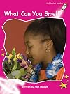 What Can You Smell? (Red Rocket Readers: Emergent: Non-Fiction Set B)