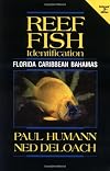 Reef Fish Identification: Florida Caribbean Bahamas