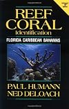 Reef Coral Identification: Florida Caribbean Bahamas