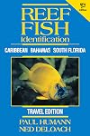 Reef Fish Identification Travel Edition - 2nd Edition: Caribbean Bahamas South Florida