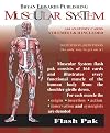 The Muscular System (Flash Paks/Volumes 1 and 2)