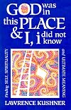 God Was in This Place & I, i Did Not Know: Finding Self, Spirituality and Ultimate Meaning (Kushner)