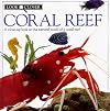 Coral Reef (Look Closer)