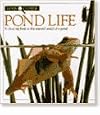 Pond Life (Look Closer)