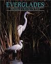 Everglades: Wondrous River of Life