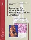 Tumors of the Kidney, Bladder and Related Urinary Structures 2004 (AFIP Atlas of Tumor Pathology 4th Series)