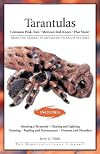 Tarantulas: Common Pink-Toes, Mexican Red-Knees, Plus More!