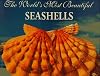 The World's Most Beautiful Seashells (Worlds Most Series)