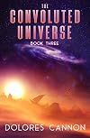 The Convoluted Universe, Book Three