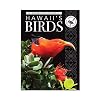 Hawaii's Birds