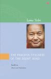 The Peaceful Stillness of the Silent Mind: Buddhism, Mind and Meditation