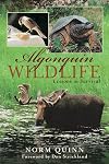 Algonquin Wildlife: Lessons in Survival