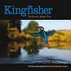Kingfisher: Tales from the Halcyon River