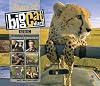 Stars of Big Cat Diary