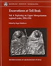 Excavation at Tell Brak. Vol.4: Exploring an Upper Mesopotamian regional centre, 1994-1996