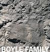 Boyle Family