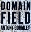 Domain Field