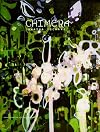 Janaina Tschape: Chimera