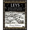 Leys: Secret Spirit Paths in Ancient Britain