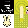One Little Bunny!
