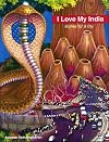 I Love My India: stories for a city