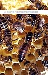 The introduction of queen bees